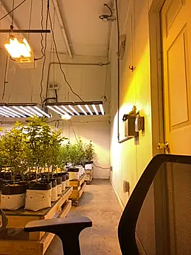 Snapshot of jr91esl chatting on 03-02-25, 06:05 jr91esl online show from 03-02-25, 06:05