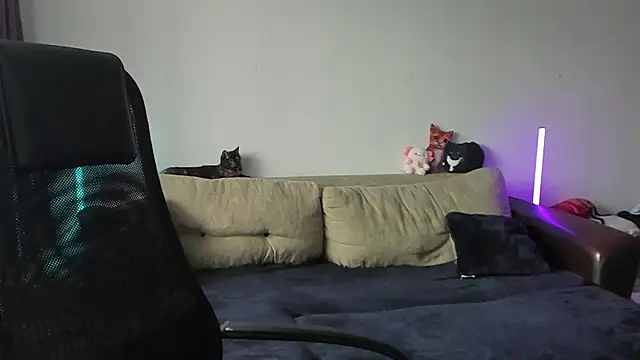 Snapshot of Ostin_meow chatting on 07-03-26, 01:06 Ostin meow online show from 07-03-26, 01:06