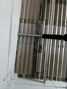 Snapshot of Sex-Nia chatting on 12-19-24, 04:57 Sex-Nia online show from 12-19-24, 04:57