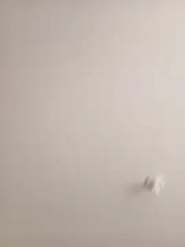 Morguisssz online show from 09-18-25, 01:02