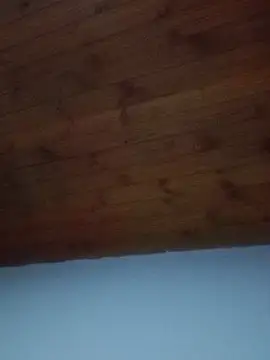 Darly Gomez online show from 02-19-25, 08:41