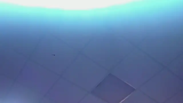 Lexy-Woorhez online show from 02-28-25, 01:36