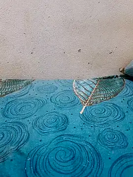 Snapshot of Linda-53 chatting on 03-27-26, 08:30 Linda-53 online show from 03-27-26, 08:30