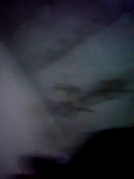 jolesin online show from 12-21-24, 02:47