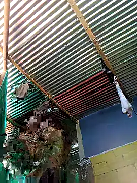 Snapshot of thamygomezz chatting on 09-09-25, 04:39 thamygomezz online show from 09-09-25, 04:39