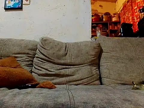 Snapshot of NewBe9D9 chatting on 11-23-25, 09:42 NewBe9D9 online show from 11-23-25, 09:42