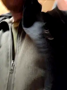 Snapshot of Romakappa1812 chatting on 04-01-26, 06:38 Romakappa1812 online show from 04-01-26, 06:38