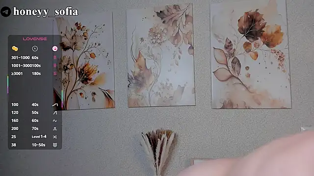 Snapshot of sweete_sofia chatting on 03-12-25, 02:20 sweete sofia online show from 03-12-25, 02:20