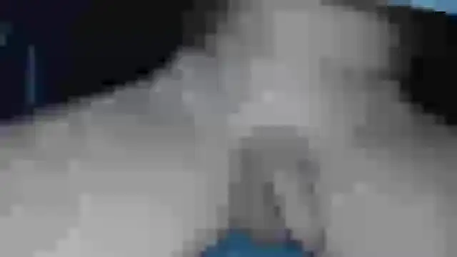 Snapshot of cs1512 chatting on 02-13-25, 06:38 cs1512 online show from 02-13-25, 06:38