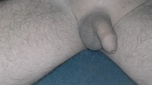 Snapshot of cs1512 chatting on 02-26-25, 04:36 cs1512 online show from 02-26-25, 04:36