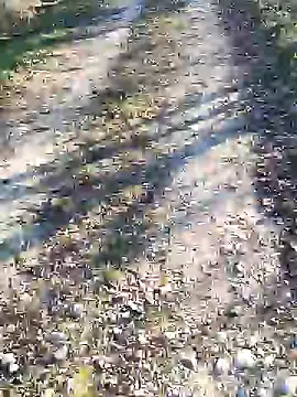 sansan2411 online show from 01-12-25, 02:41