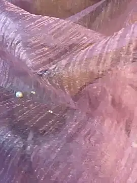 Snapshot of honeyboobies7249 chatting on 01-14-26, 06:46 honeyboobies7249 online show from 01-14-26, 06:46