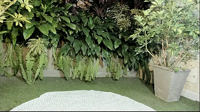 Snapshot of loladupont chatting on 09-10-25, 03:06 loladupont online show from 09-10-25, 03:06