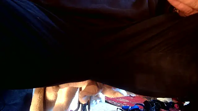 Snapshot of SilverandFox chatting on 09-10-25, 05:46 SilverandFox online show from 09-10-25, 05:46