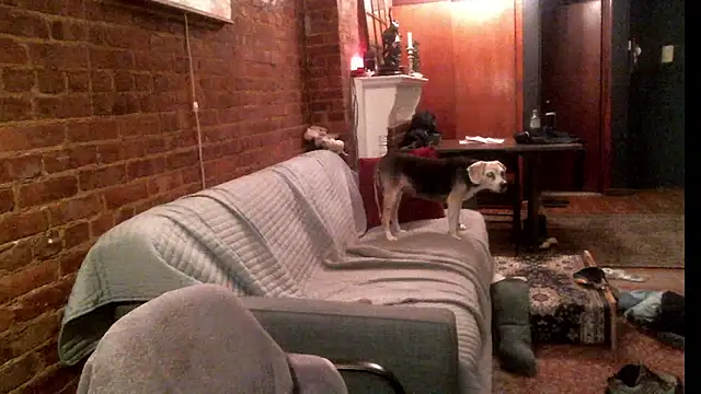 Johnny Bottoms online show from 09-24-25, 11:19