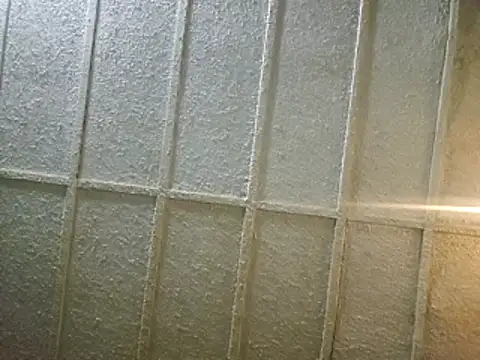 zaneporter46 online show from 02-08-25, 06:54