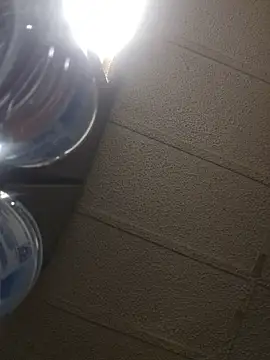 Snapshot of zaneporter46 chatting on 02-16-26, 05:36 zaneporter46 online show from 02-16-26, 05:36