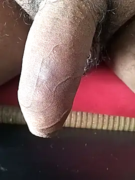 Arasu  online show from 02-01-25, 10:48