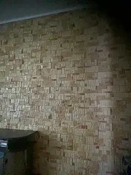 Prolisok473 online show from 02-28-25, 08:31