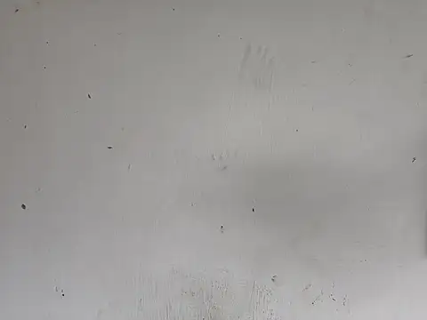 Snapshot of fs_carioca chatting on 12-02-25, 08:26 fs carioca online show from 12-02-25, 08:26