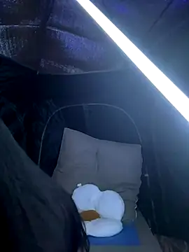 csck2025 online show from 11-29-25, 12:08