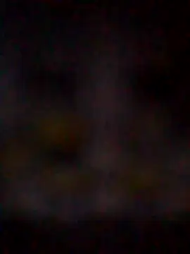 missAmanda69 online show from 07-29-26, 11:25