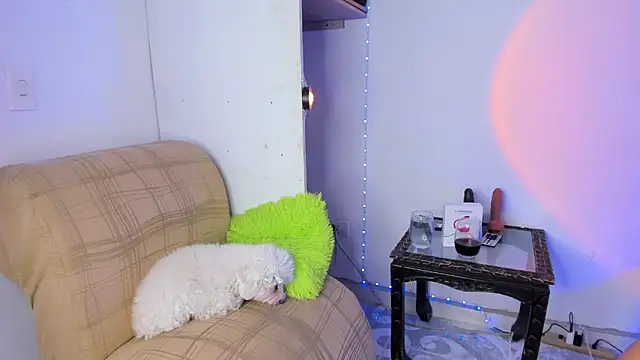 GABBYMORGAN online show from 03-09-25, 06:21