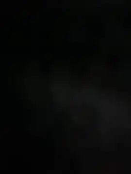 mdnn77 online show from 02-19-25, 08:33