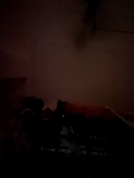 Snapshot of opkiller901 chatting on 01-12-25, 10:01 opkiller901 online show from 01-12-25, 10:01