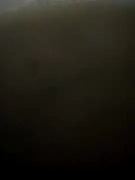 puneribull online show from 03-08-25, 08:46