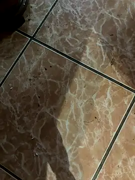 Lilymoonshow online show from 09-18-25, 11:07