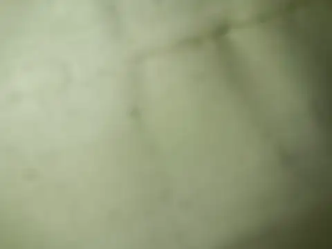 Snapshot of Ktosik88 chatting on 01-18-26, 07:50 Ktosik88 online show from 01-18-26, 07:50