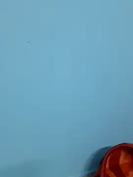 Divya-2007 online show from 02-07-25, 12:06