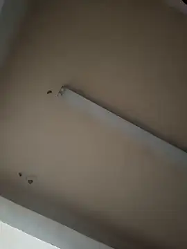 Snapshot of boyvergon chatting on 01-17-25, 06:36 boyvergon online show from 01-17-25, 06:36