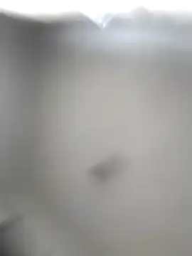 Godessofpleasxa online show from 12-16-25, 08:19