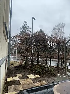 Snapshot of Ciara2004 chatting on 02-11-26, 01:27 Ciara2004 online show from 02-11-26, 01:27