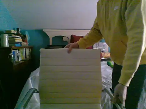 Snapshot of Prolapse_Pig chatting on 02-03-25, 06:17 Prolapse Pig online show from 02-03-25, 06:17