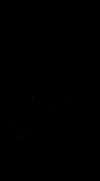 Raj41 online show from 03-01-25, 05:05