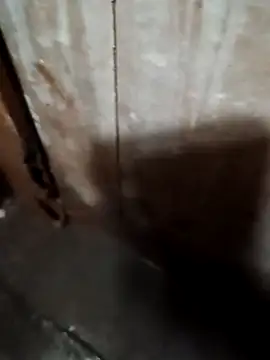 Raj41 online show from 09-20-25, 01:39