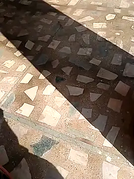 Snapshot of Raj41 chatting on 11-13-25, 04:44 Raj41 online show from 11-13-25, 04:44