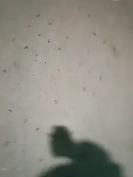 Snapshot of Raj41 chatting on 01-09-26, 04:21 Raj41 online show from 01-09-26, 04:21