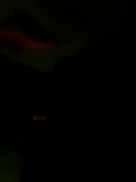 Snapshot of Raj41 chatting on 01-15-26, 06:44 Raj41 online show from 01-15-26, 06:44