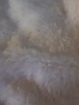 Snapshot of feketedemon36 chatting on 01-25-25, 04:57 feketedemon36 online show from 01-25-25, 04:57