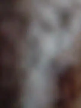 Snapshot of mhmia chatting on 02-12-26, 03:51 mhmia online show from 02-12-26, 03:51