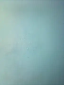 randit7 online show from 03-12-25, 11:53