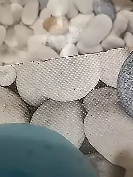 Playboy bhabhi 00 online show from 02-14-25, 08:42