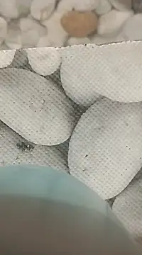 Playboy bhabhi 00 online show from 02-25-25, 08:14