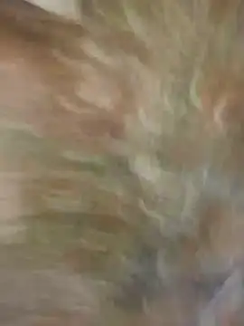 Santiago-Thompson online show from 01-26-25, 08:23