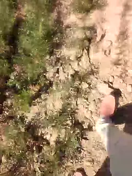 Snapshot of xmanrawan2 chatting on 02-21-25, 08:40 xmanrawan2 online show from 02-21-25, 08:40