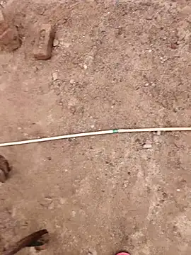 Snapshot of xmanrawan2 chatting on 10-09-25, 07:50 xmanrawan2 online show from 10-09-25, 07:50